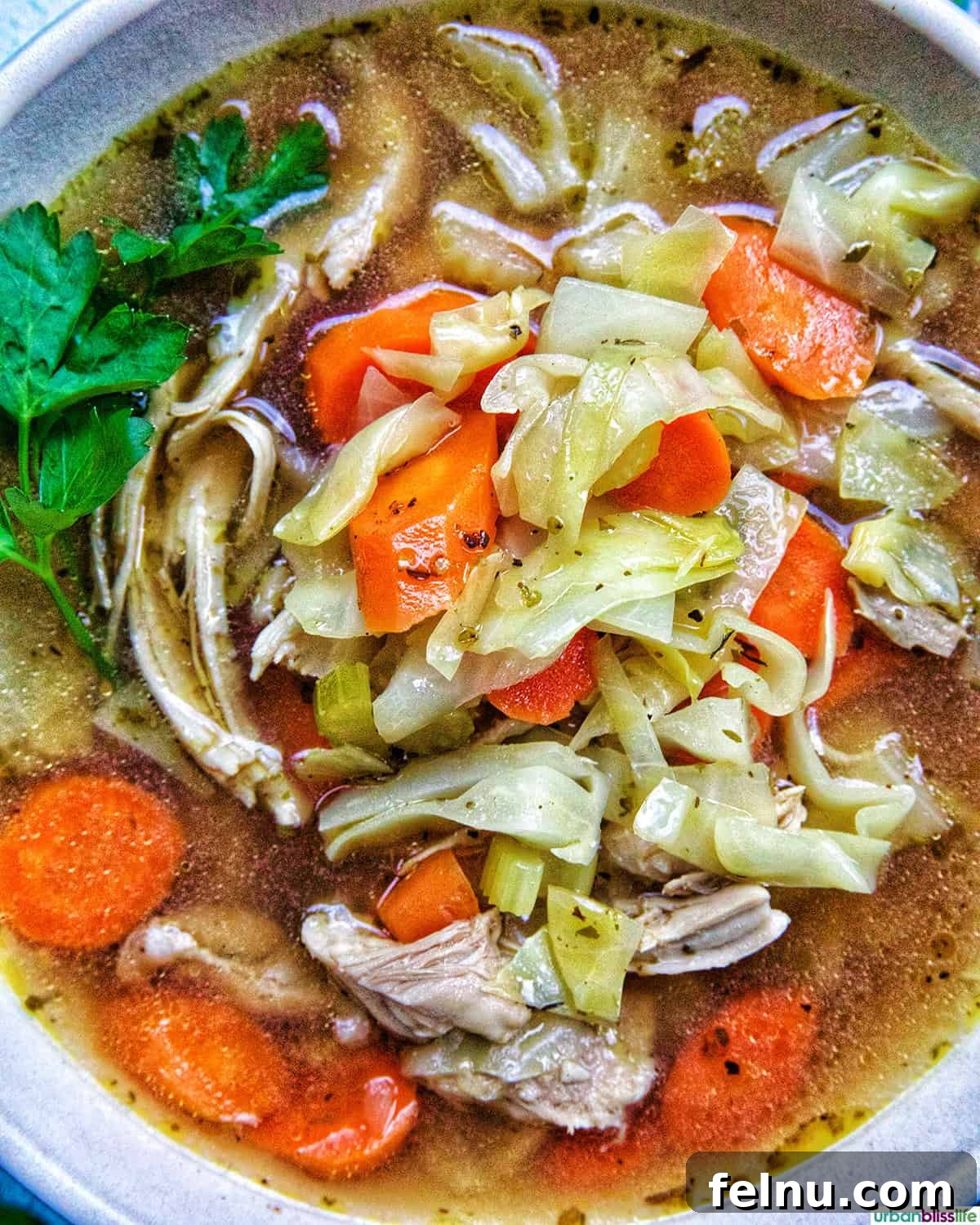 Bowl of chicken cabbage soup with spoon, herbs, salt, and pepper.