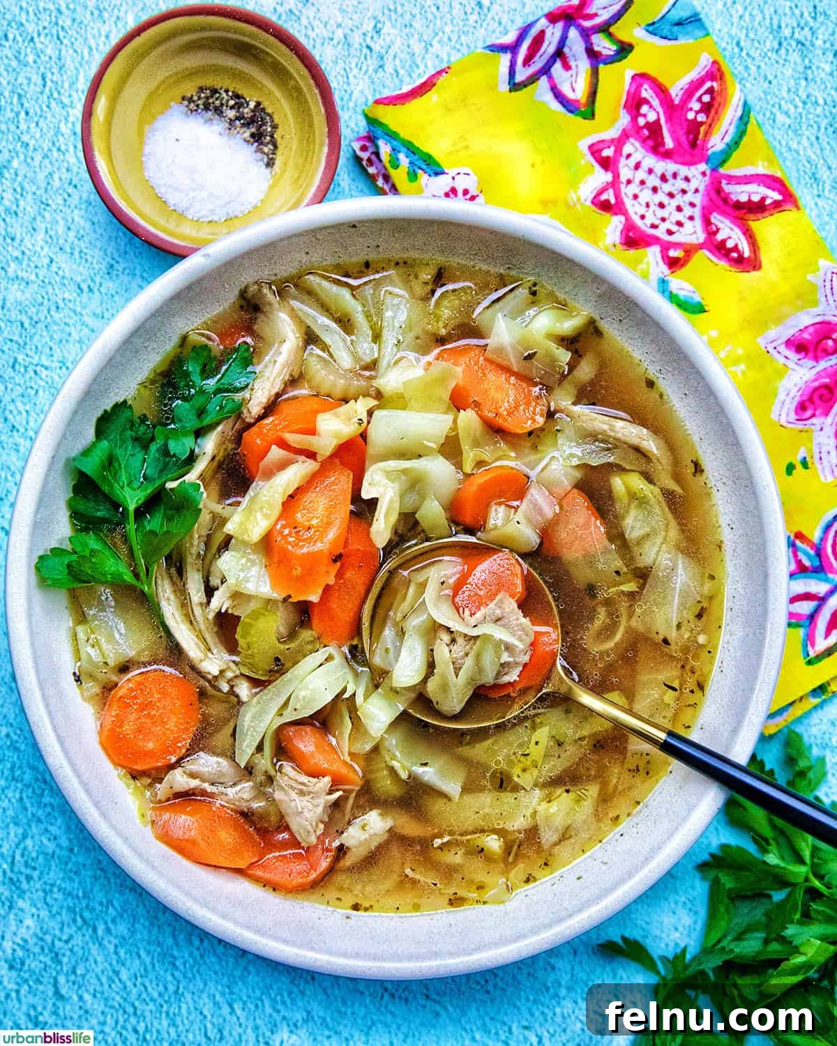 Spoon in a bowl of chicken cabbage soup.