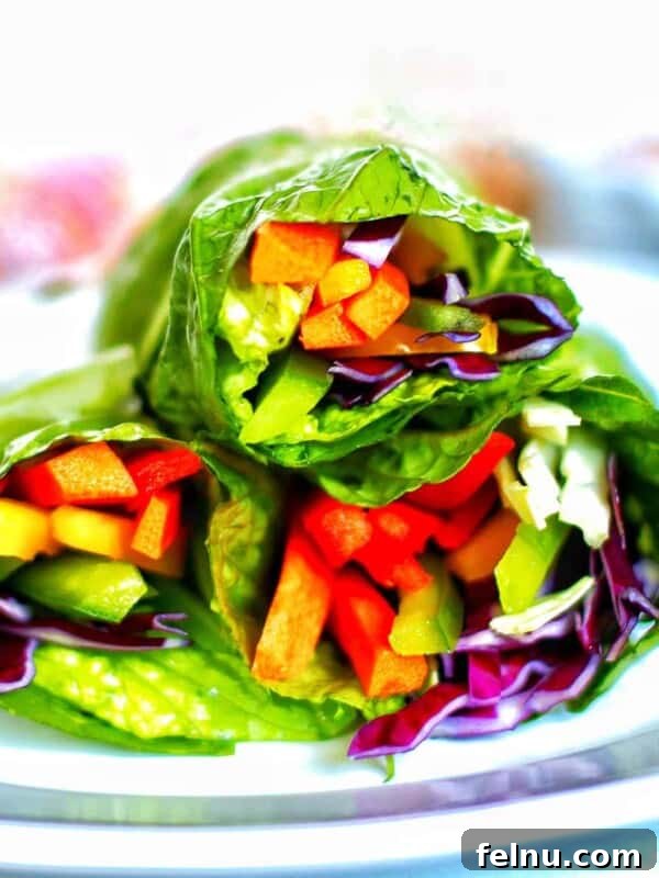Rainbow Salad Rolls