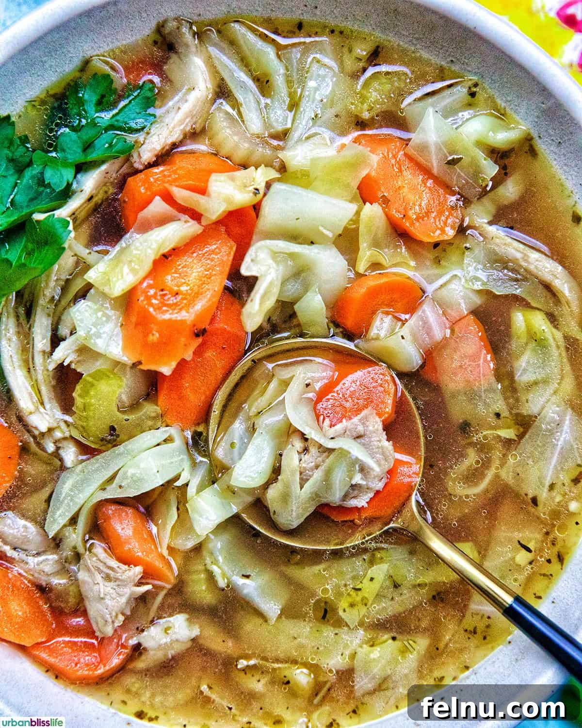 Spoon in a bowl of chicken cabbage soup.