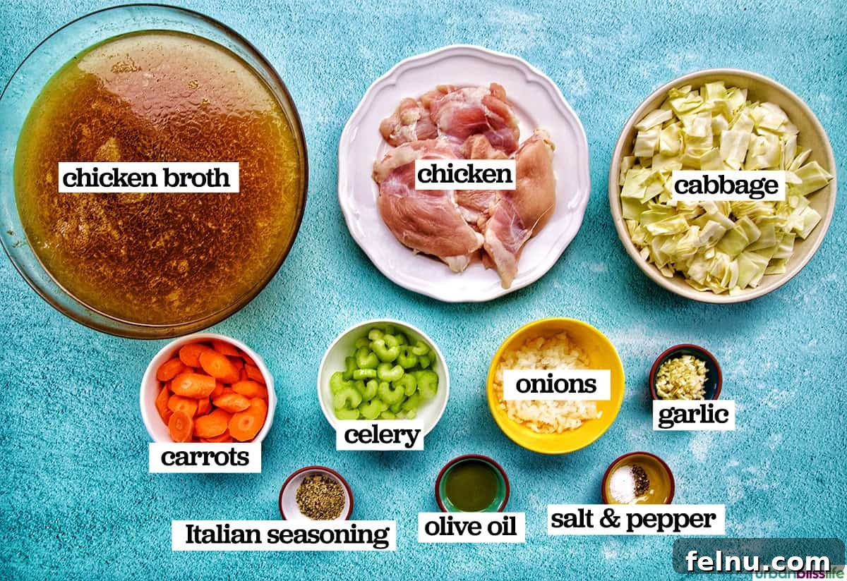 Ingredients to make chicken cabbage soup.