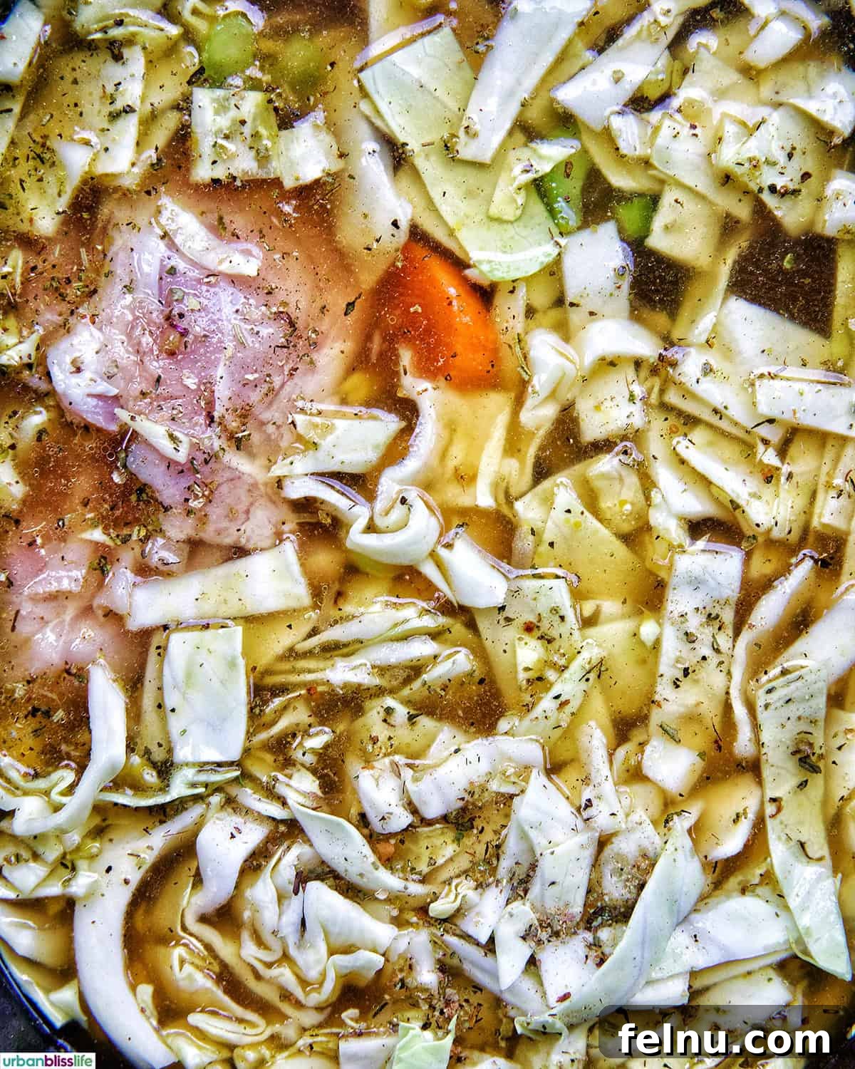 Chicken cabbage soup cooking in a Dutch oven.