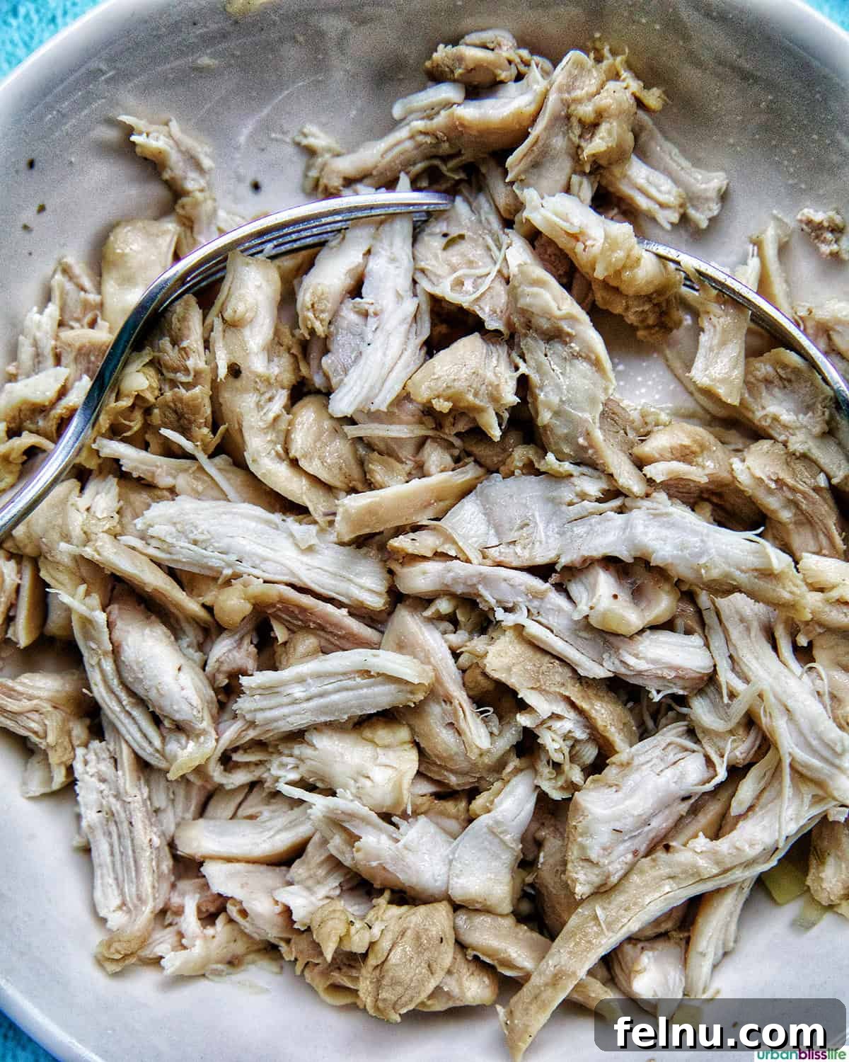Shredded cooked chicken breasts.