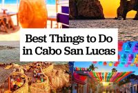 Top Cabo Experiences