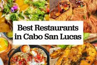 Dining Delights in Cabo: A Culinary Adventure