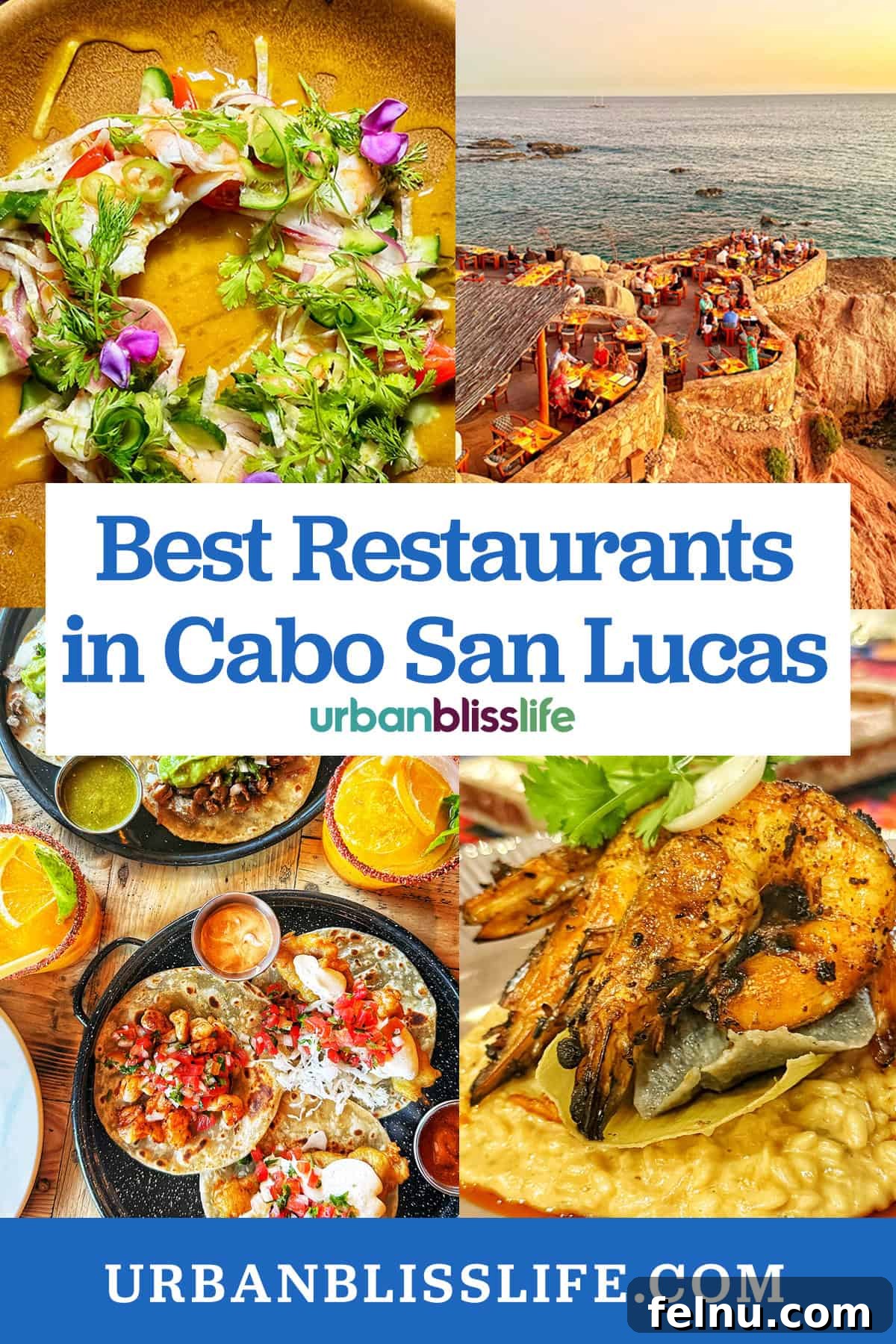 Dining Delights in Cabo: A Culinary Adventure 2 Casa Martin aguachile, Cocina del Mar restaurant on the sea, Mother Flower tacos, and Metate seafood risotto with title text overlay "Best Restaurants in Cabo San Lucas."