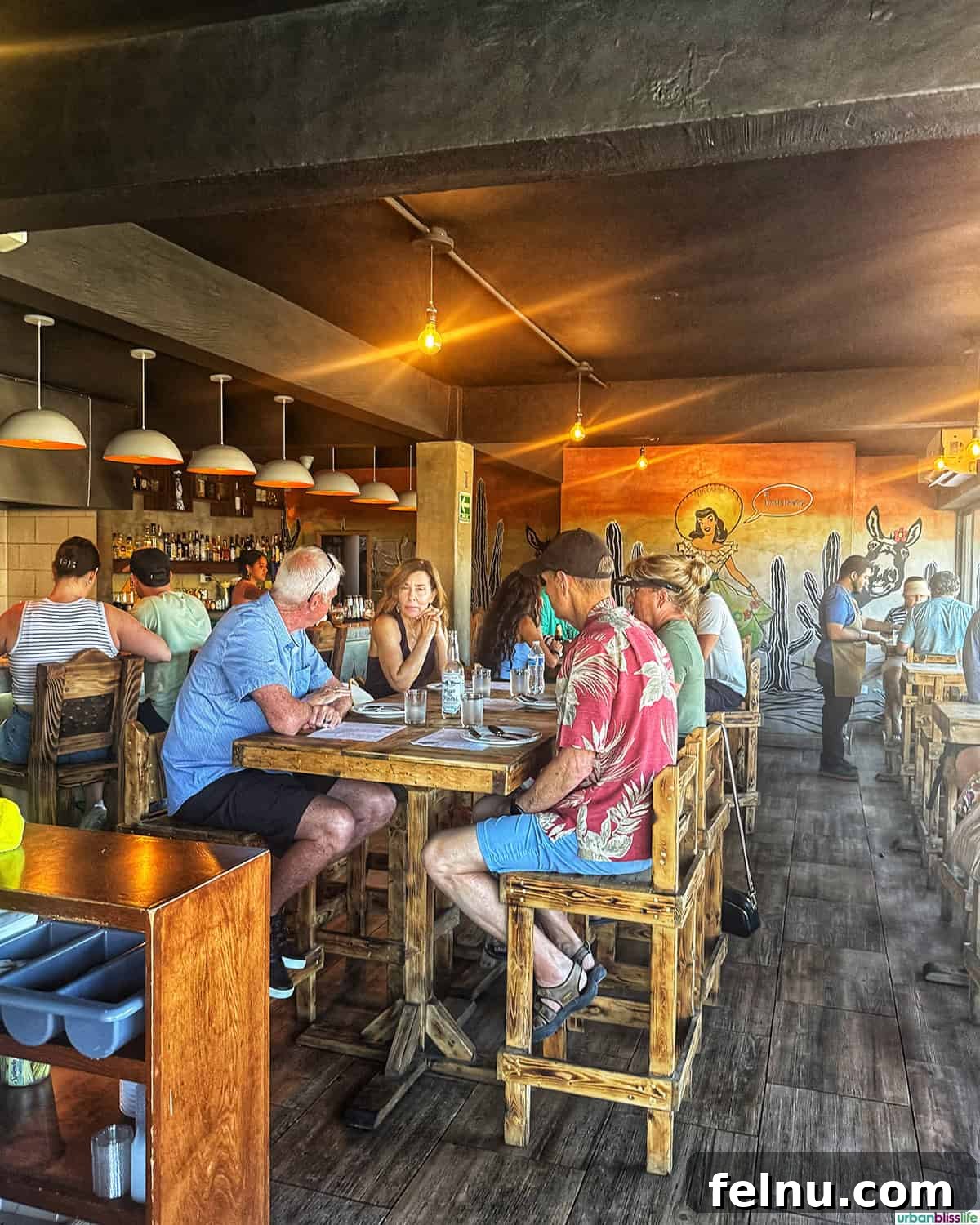 Dining Delights in Cabo: A Culinary Adventure 12 Interior dining room at Mother Flower in Cabo San Lucas, Mexico.