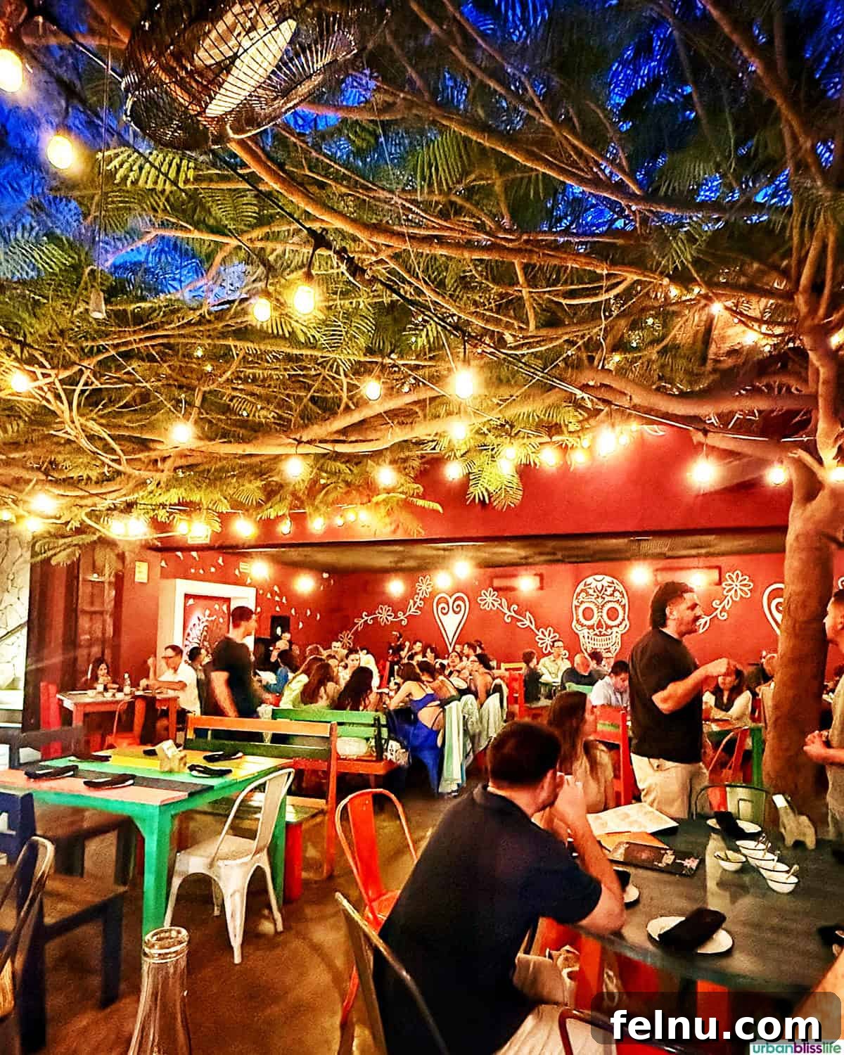 Dining Delights in Cabo: A Culinary Adventure 17 Inside dining room of La Lupita in Cabo San Lucas, Mexico.