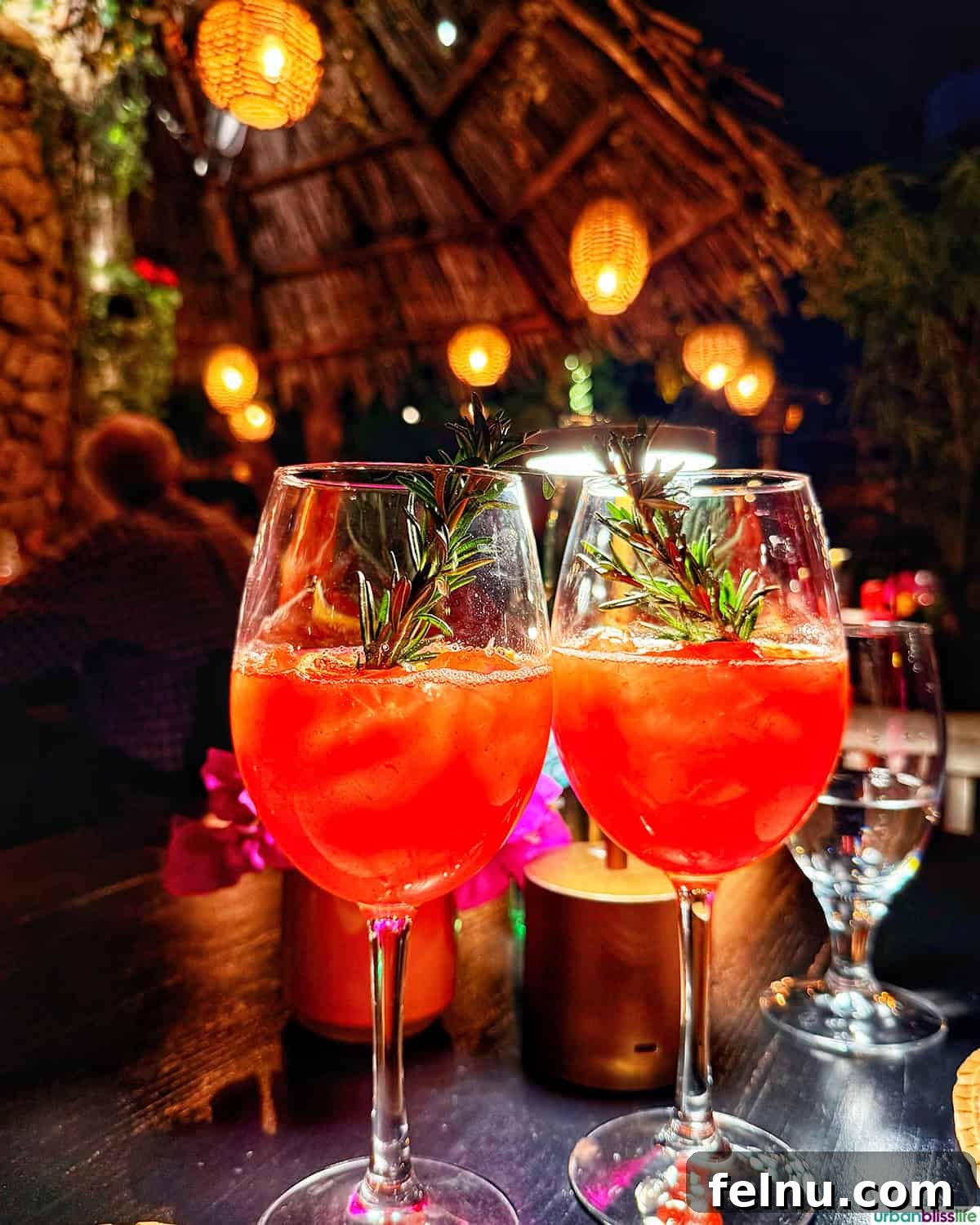 Dining Delights in Cabo: A Culinary Adventure 19 Cocktails at at Casa Martin in Cabo San Lucas, Mexico.