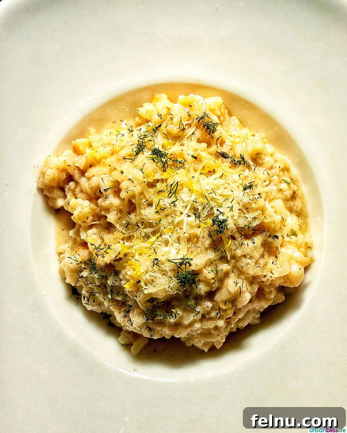 Dining Delights in Cabo: A Culinary Adventure 22 Lobster risotto at Casa Martin in Cabo San Lucas, Mexico.