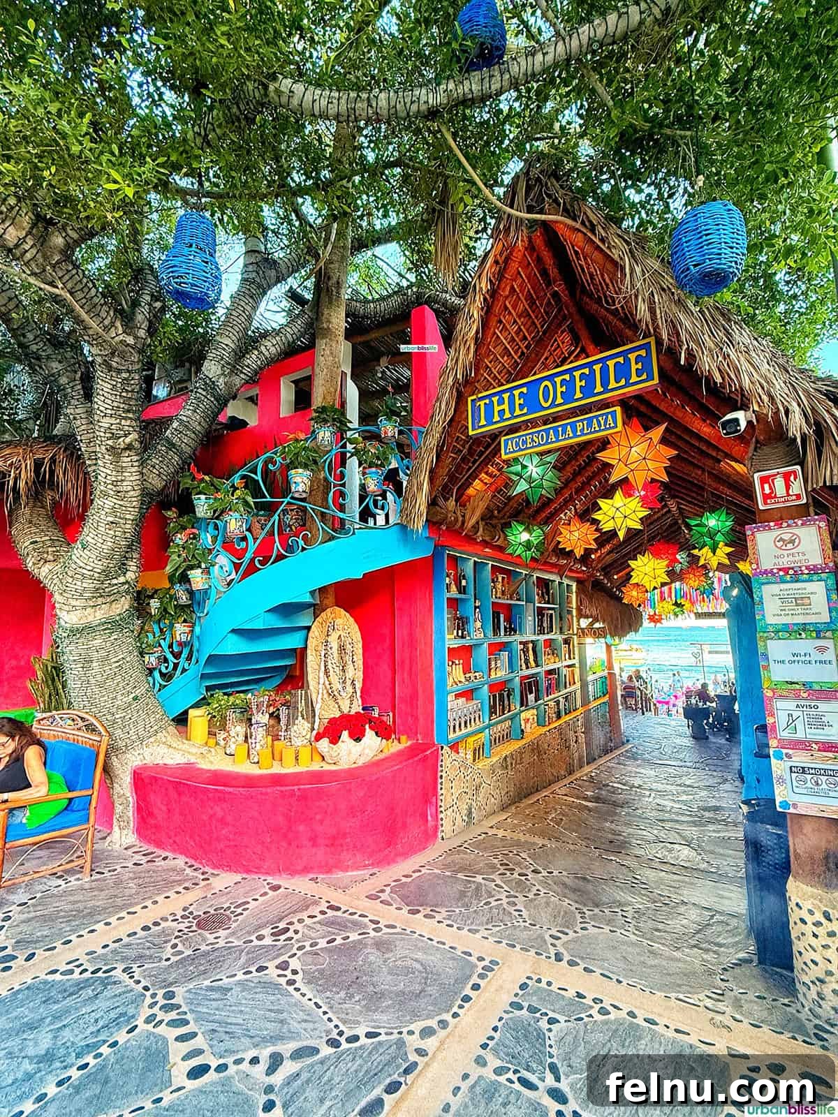 Dining Delights in Cabo: A Culinary Adventure 28 Colorful exterior of The Office beac bar in Cabo San Lucas, Mexico.