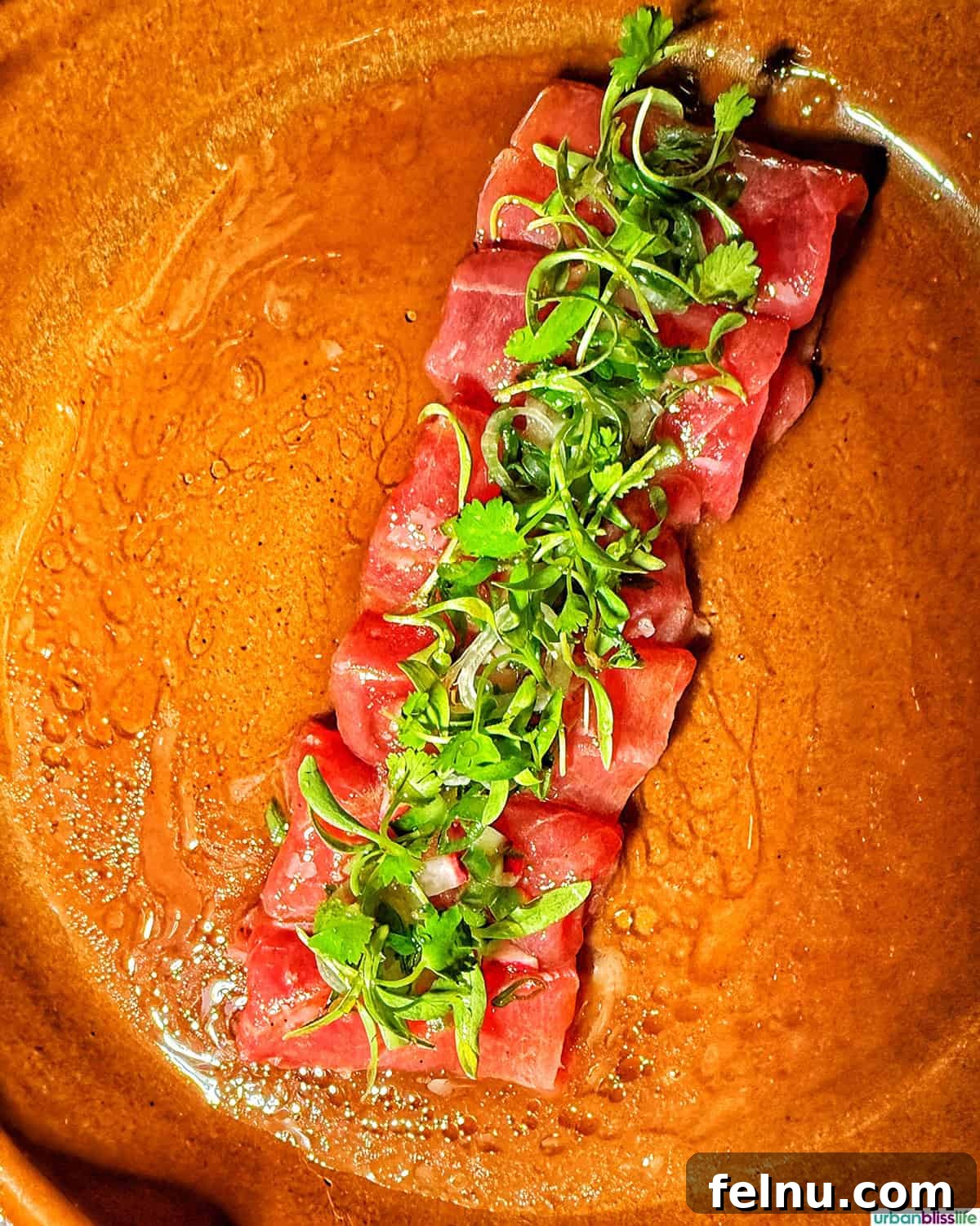 Dining Delights in Cabo: A Culinary Adventure 32 Tuna appetizer at Cocina del Mar restaurant in Cabo San Lucas, Mexico.