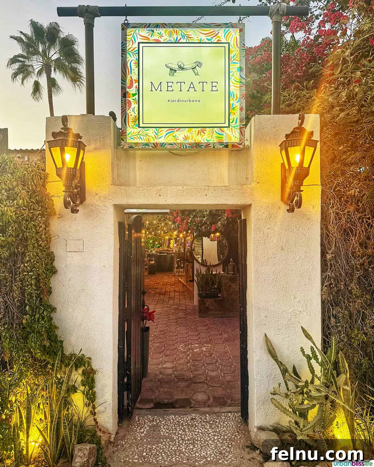 Dining Delights in Cabo: A Culinary Adventure 6 Outside of at Metate restaurant in Cabo San Lucas, Mexico.
