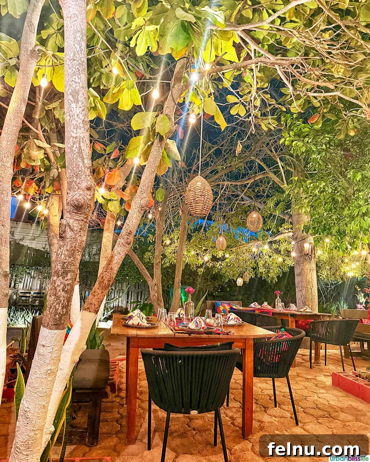 Dining Delights in Cabo: A Culinary Adventure 7 Outdoor dining at Metate restaurant in Cabo San Lucas, Mexico.