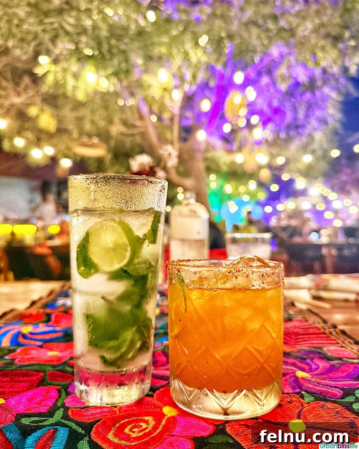 Dining Delights in Cabo: A Culinary Adventure 8 Mojito and passionfruit margarita at Metate restaurant in Cabo San Lucas, Mexico.