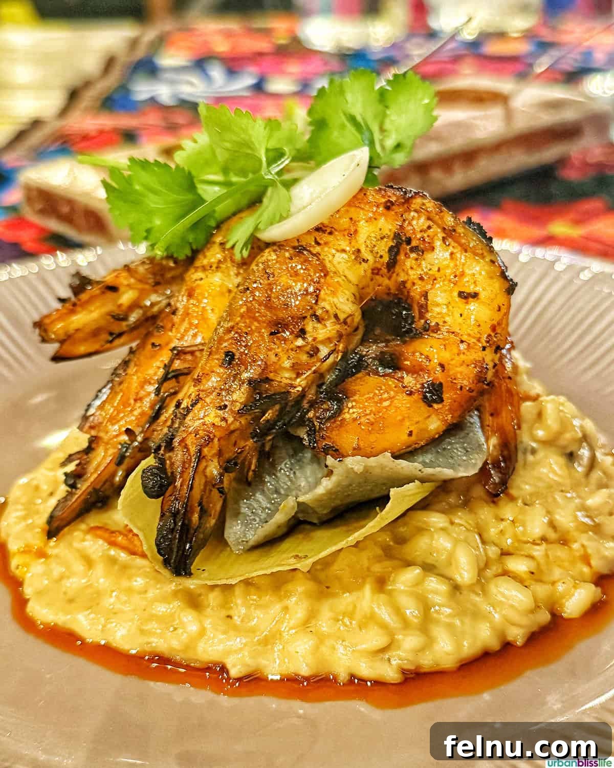 Dining Delights in Cabo: A Culinary Adventure 9 Prawn risotto at Metate restaurant in Cabo San Lucas, Mexico.
