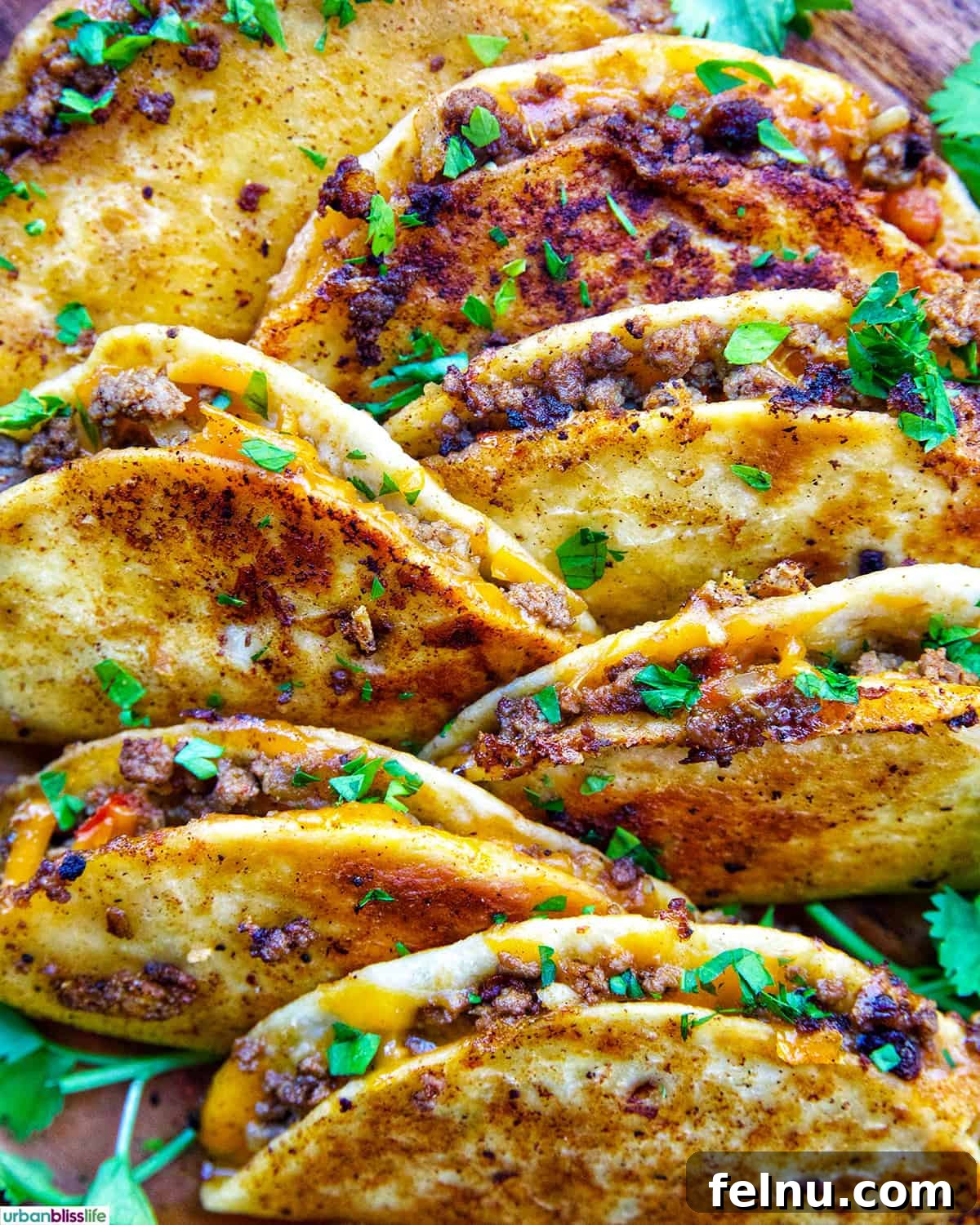 Golden-Crisp Beef Tacos 2 A vibrant plate full of golden-brown crispy beef tacos, garnished with fresh cilantro and ready to be enjoyed.