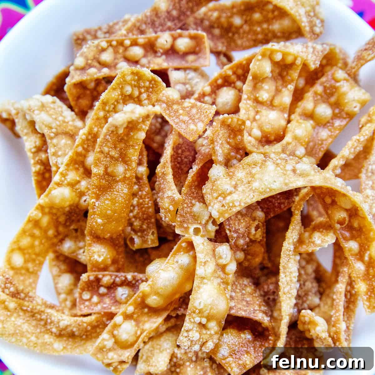 A bowl of perfectly fried golden wonton strips, ready to be served or used as a topping.