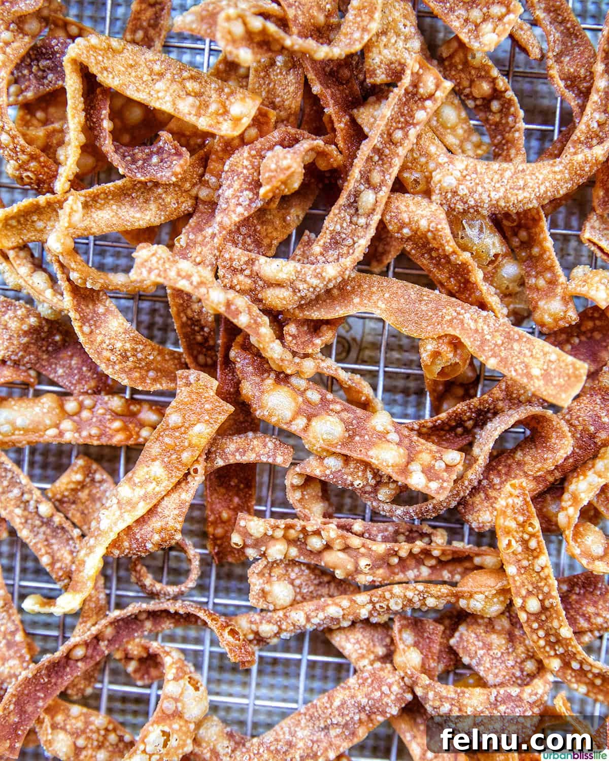 Overhead view of a cooling rack filled with golden, crispy fried wonton strips.