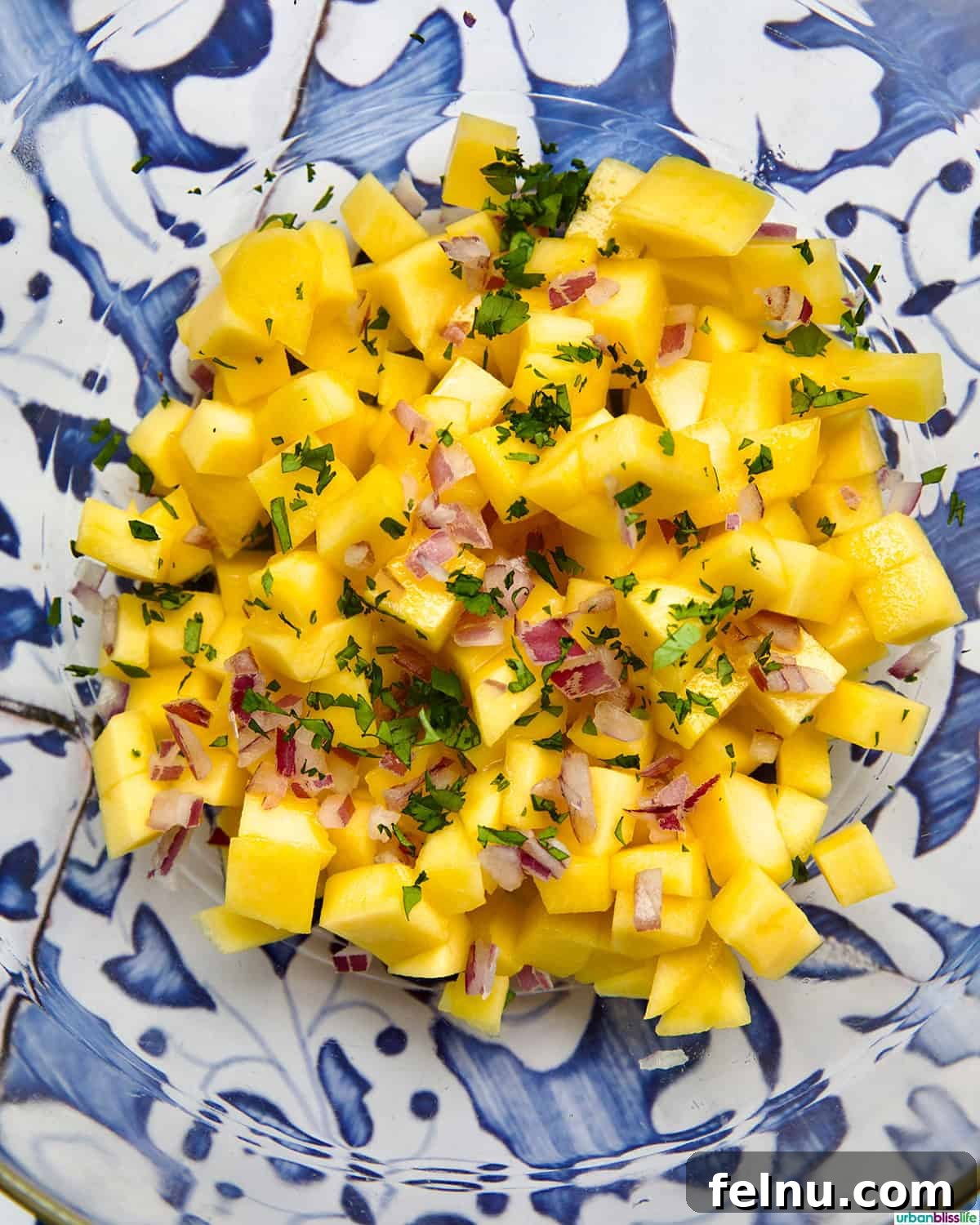 A bowl of fresh, vibrant mango salsa, made with diced mango, red onion, and cilantro.