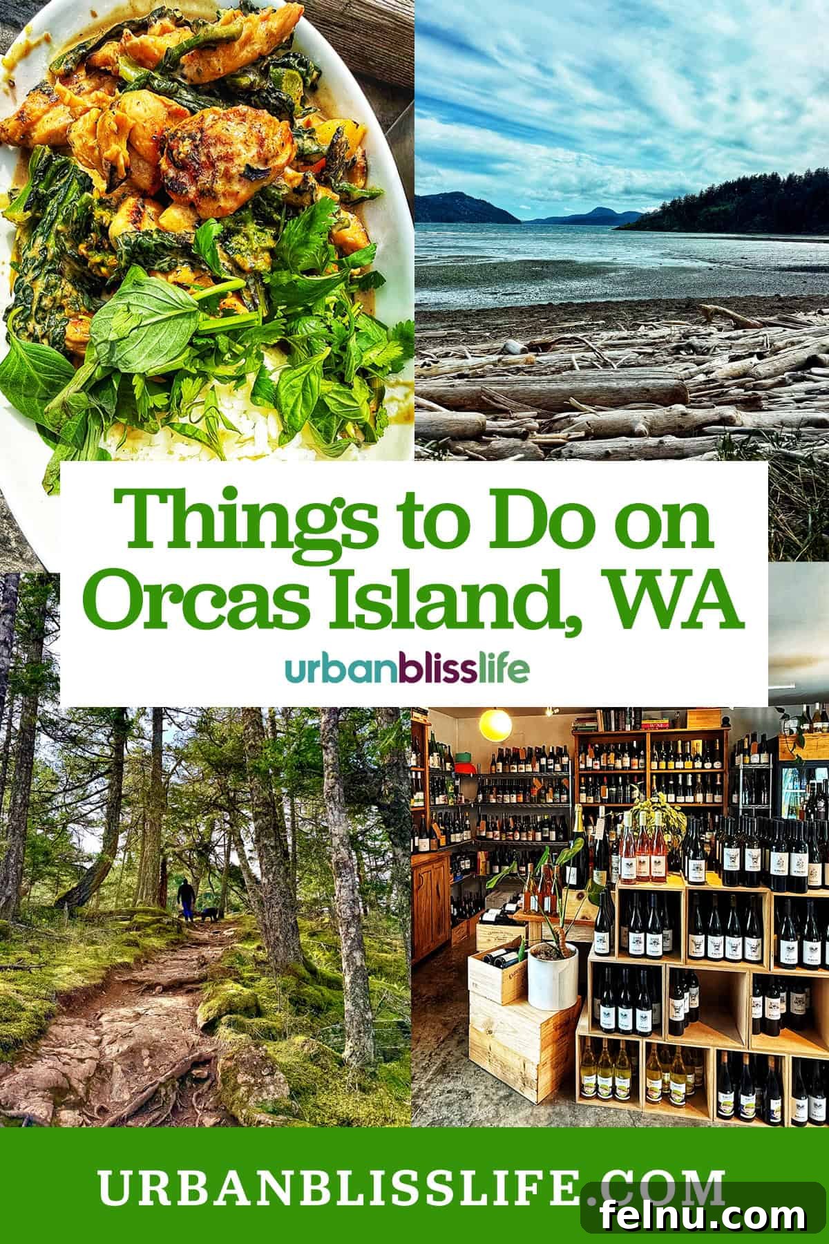 Panoramic view of Orcas Island's lush landscape with Mount Constitution in the distance, bathed in golden hour light, hinting at adventure.