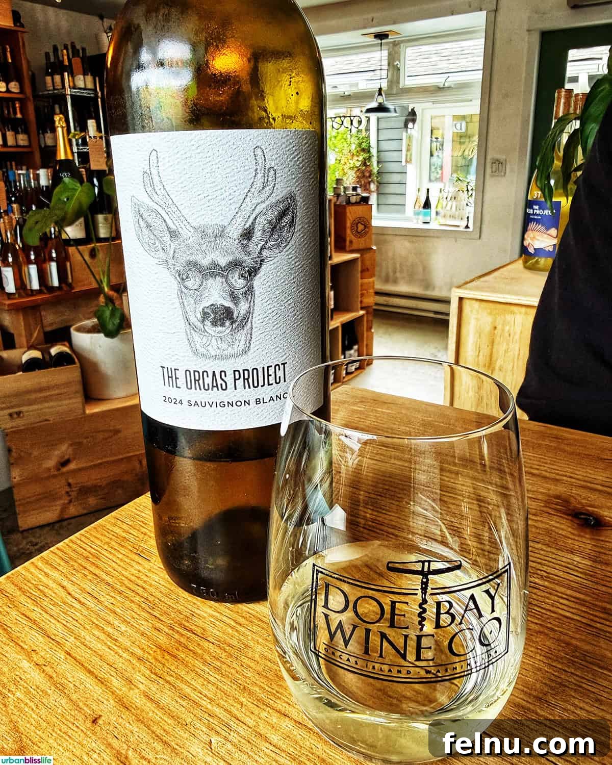 Glass of Sauvignon Blanc at Doe Bay Wine Company on Orcas Island.