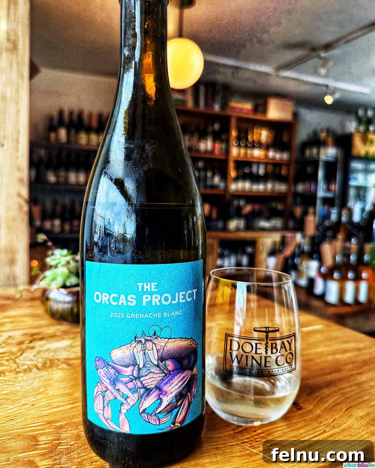 Glass of Grenache Blanc at Doe Bay Wine Company, Orcas Island.