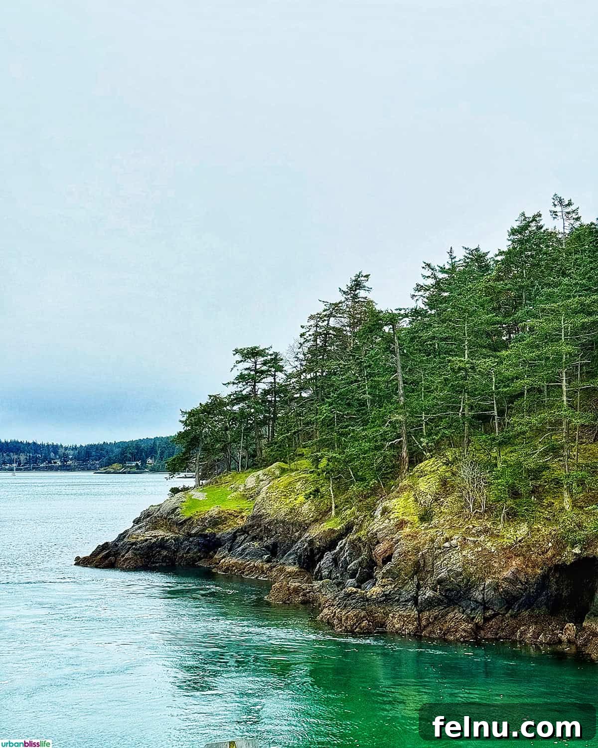 Serene view of Lopez Island, one of the San Juan Islands, with calm waters and forested shores.