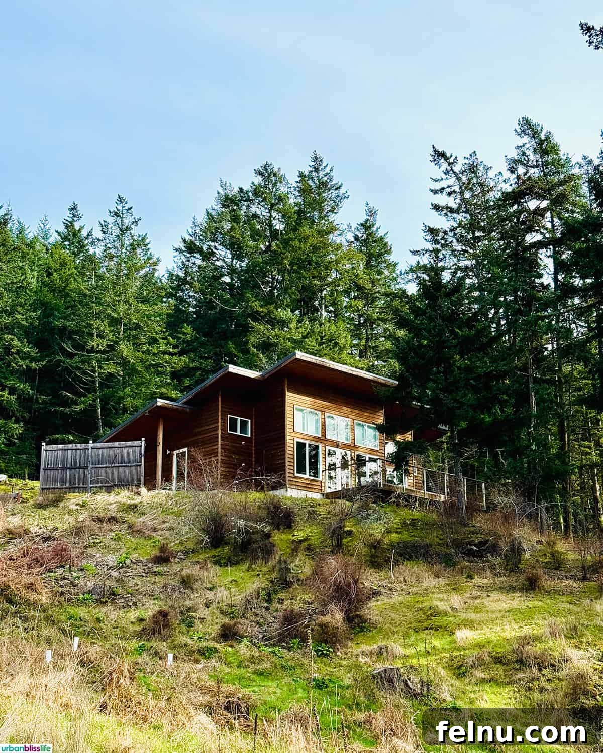 Charming exterior of an Airbnb on Orcas Island, surrounded by lush greenery.