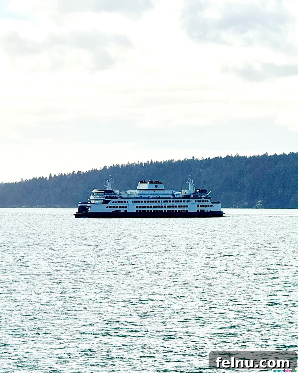 A Washington State Ferry approaching Orcas Island, with vehicles lined up for boarding.