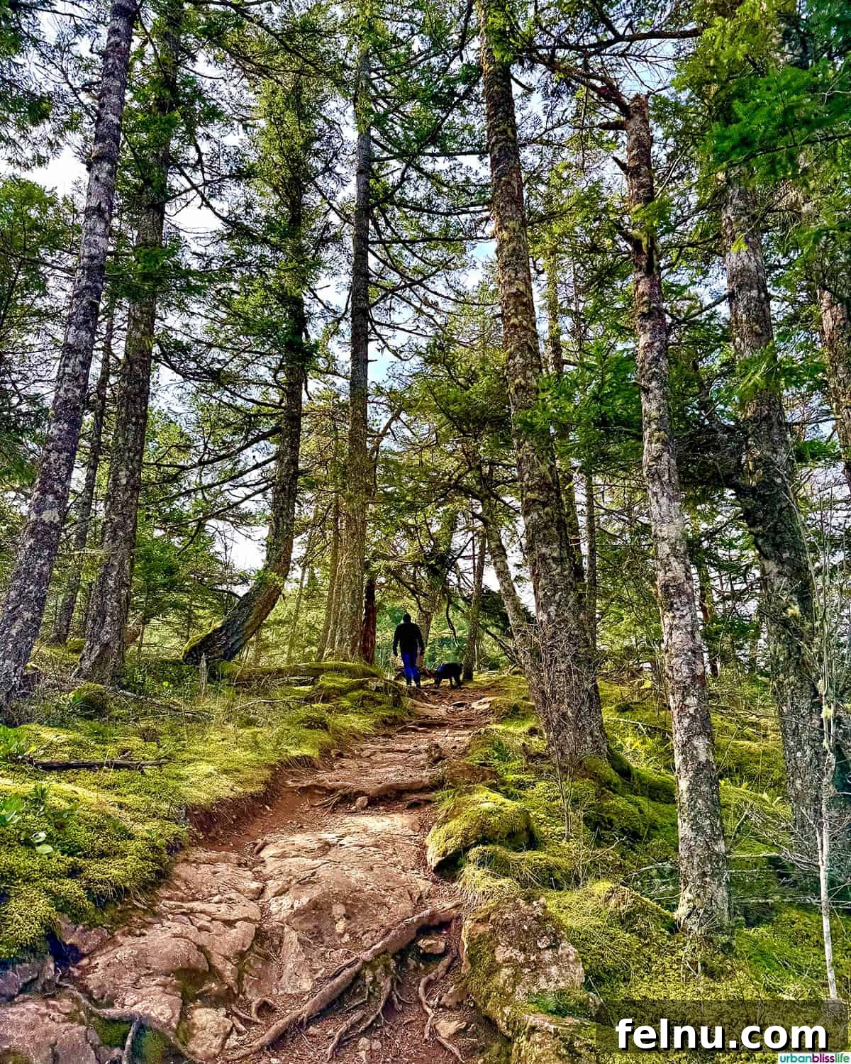 Hikers enjoying the serene Cascade Lake Trail on Orcas Island.