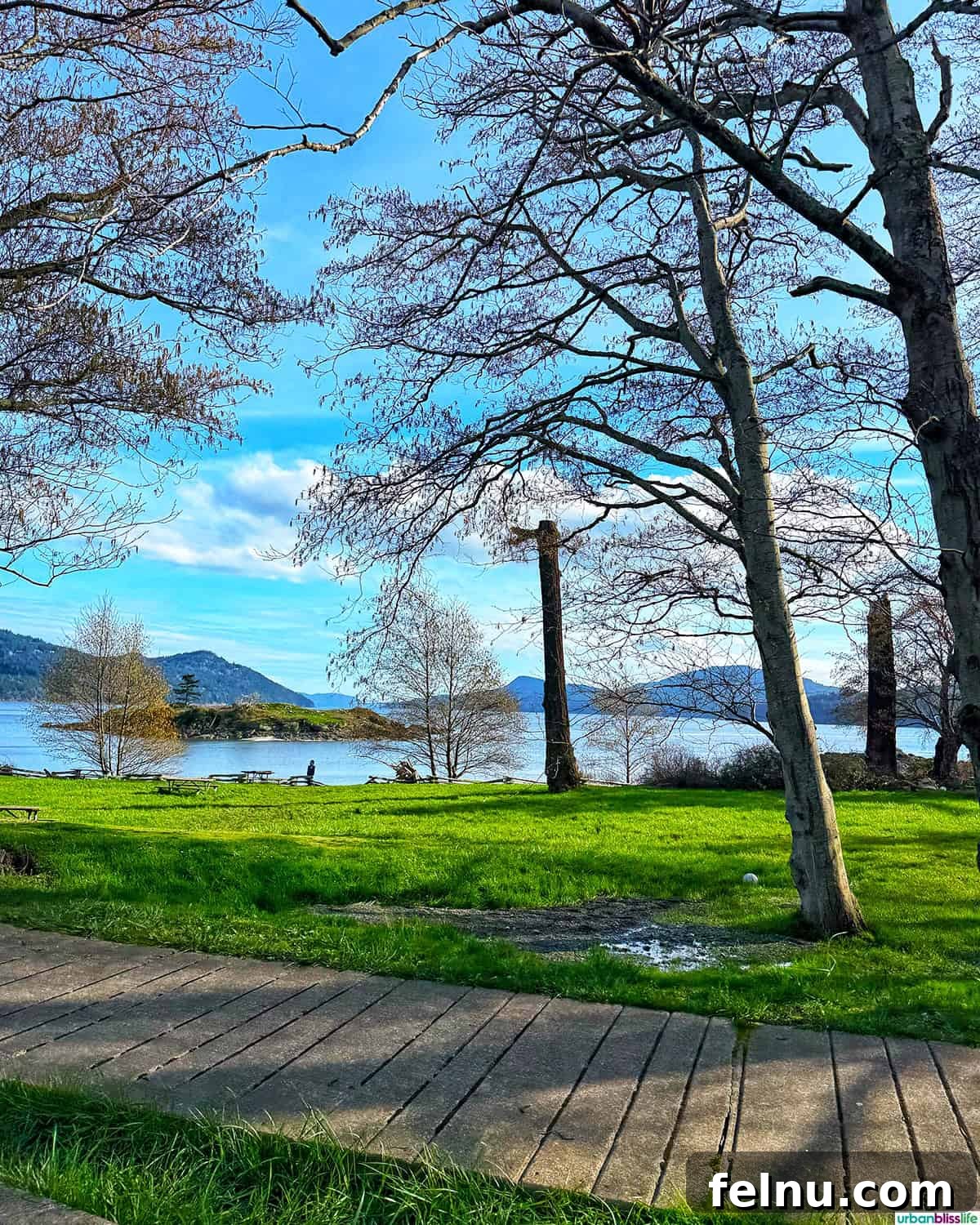 Serene view of a lake on Orcas Island, surrounded by lush forest.