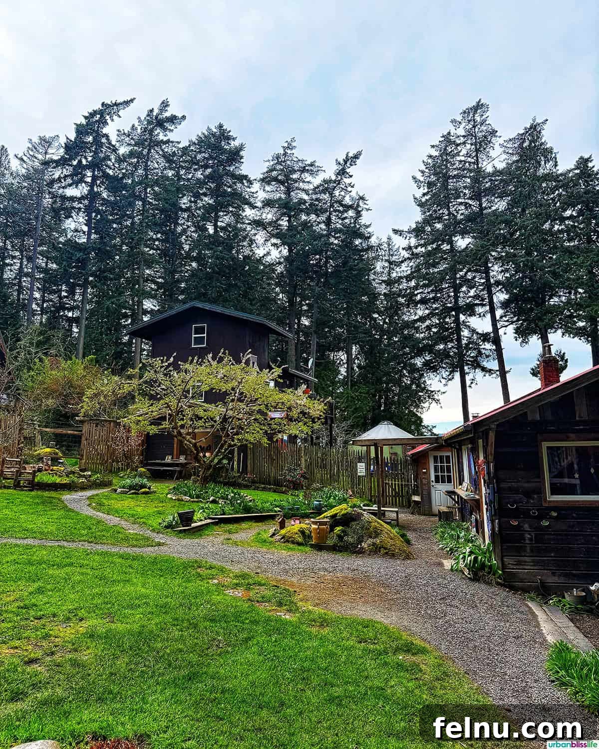 Artistic pottery display at Orcas Island Pottery, set amidst lush greenery.