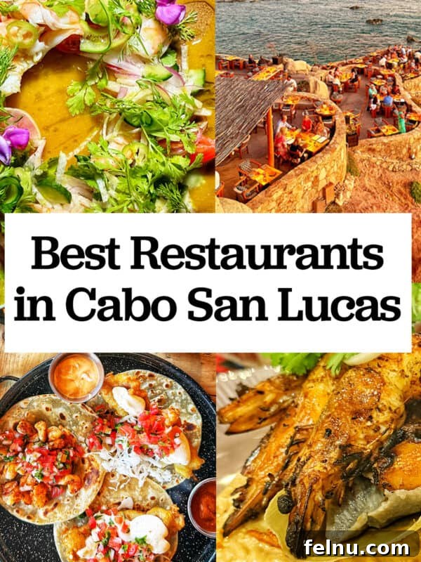 Cocina del Mar: Oceanfront Dining in Cabo San Lucas, Mexico 19 Best Restaurants in Cabo San Lucas