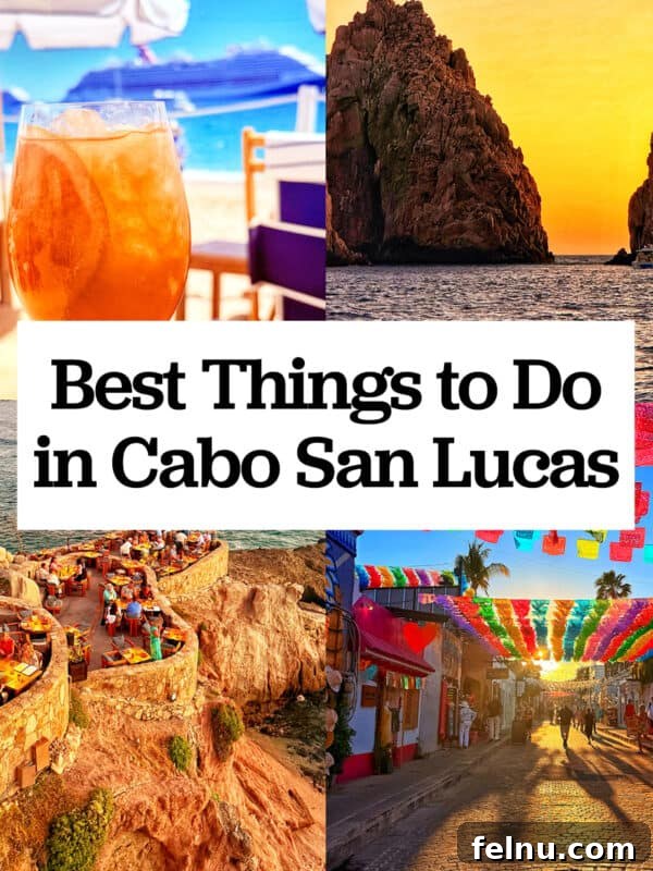 Cocina del Mar: Oceanfront Dining in Cabo San Lucas, Mexico 20 Best Things to Do in Cabo San Lucas