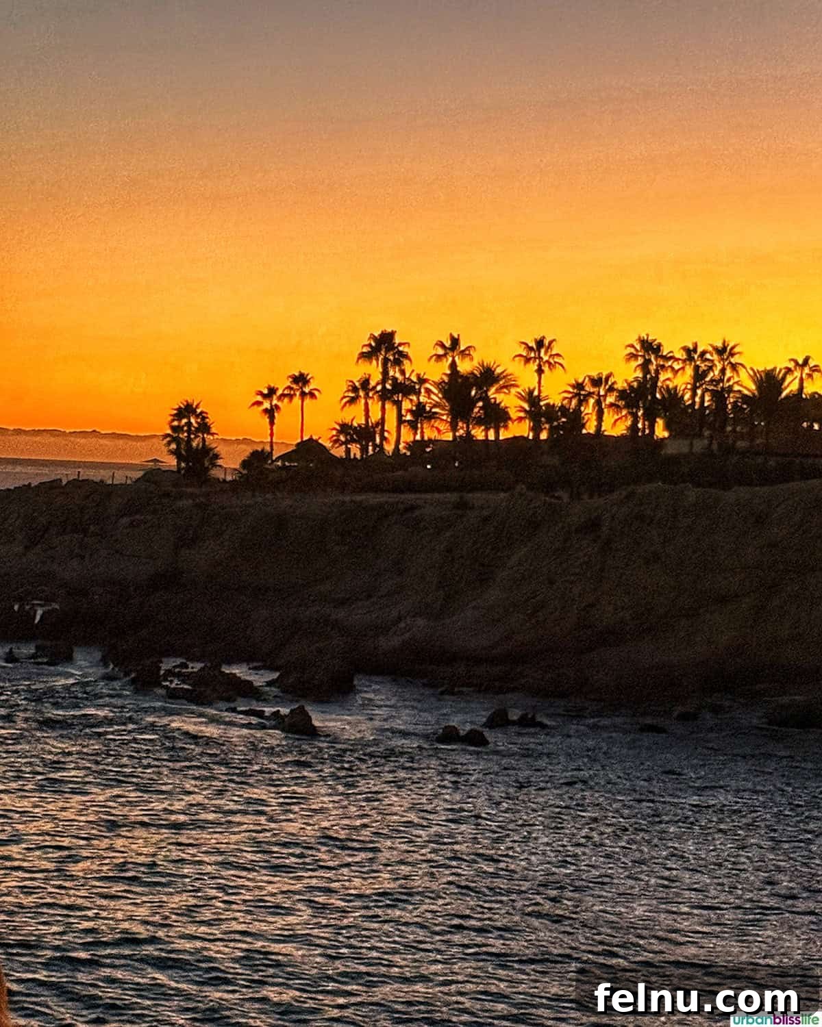 Cocina del Mar: Oceanfront Dining in Cabo San Lucas, Mexico 3 sunset against palm trees cliffside at Cocina del Mar restaurant in Cabo San Lucas, Mexico.
