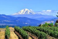Columbia River Gorge Weekend Guide: Hood River to The Dalles