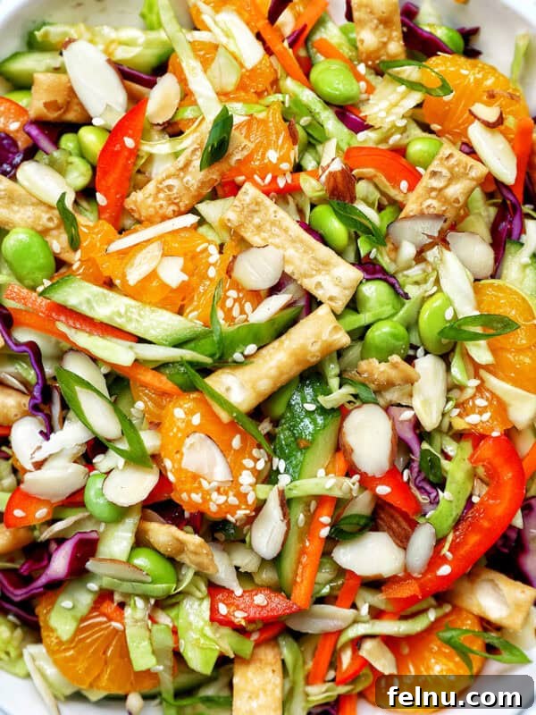 Creamy Caesar Pasta Salad with Crispy Croutons 13 bowl of Asian crunch salad.