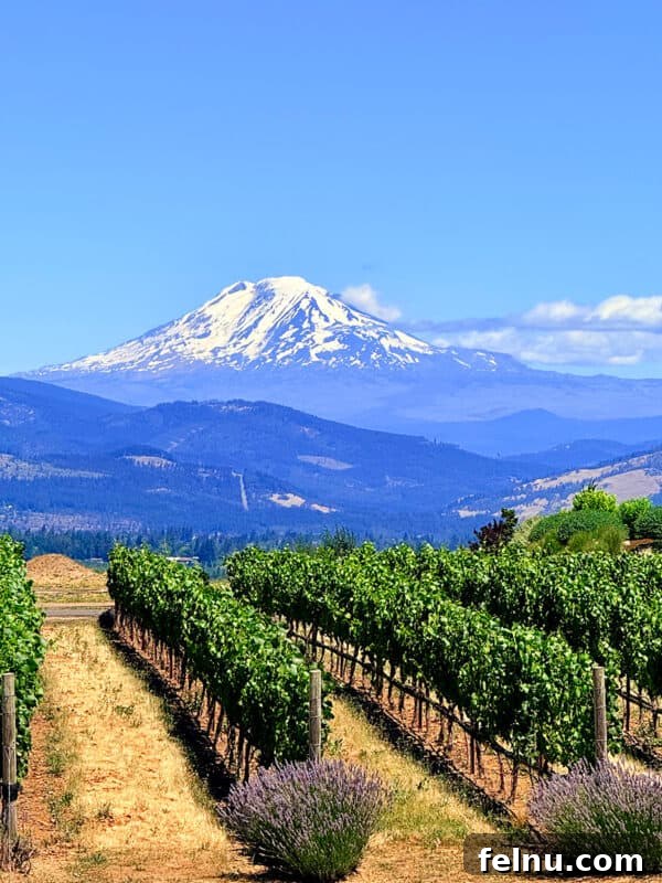 Creamy Caesar Pasta Salad with Crispy Croutons 14 Mount Hood behind vineyards and lavender fields in Hood River, Oregon.
